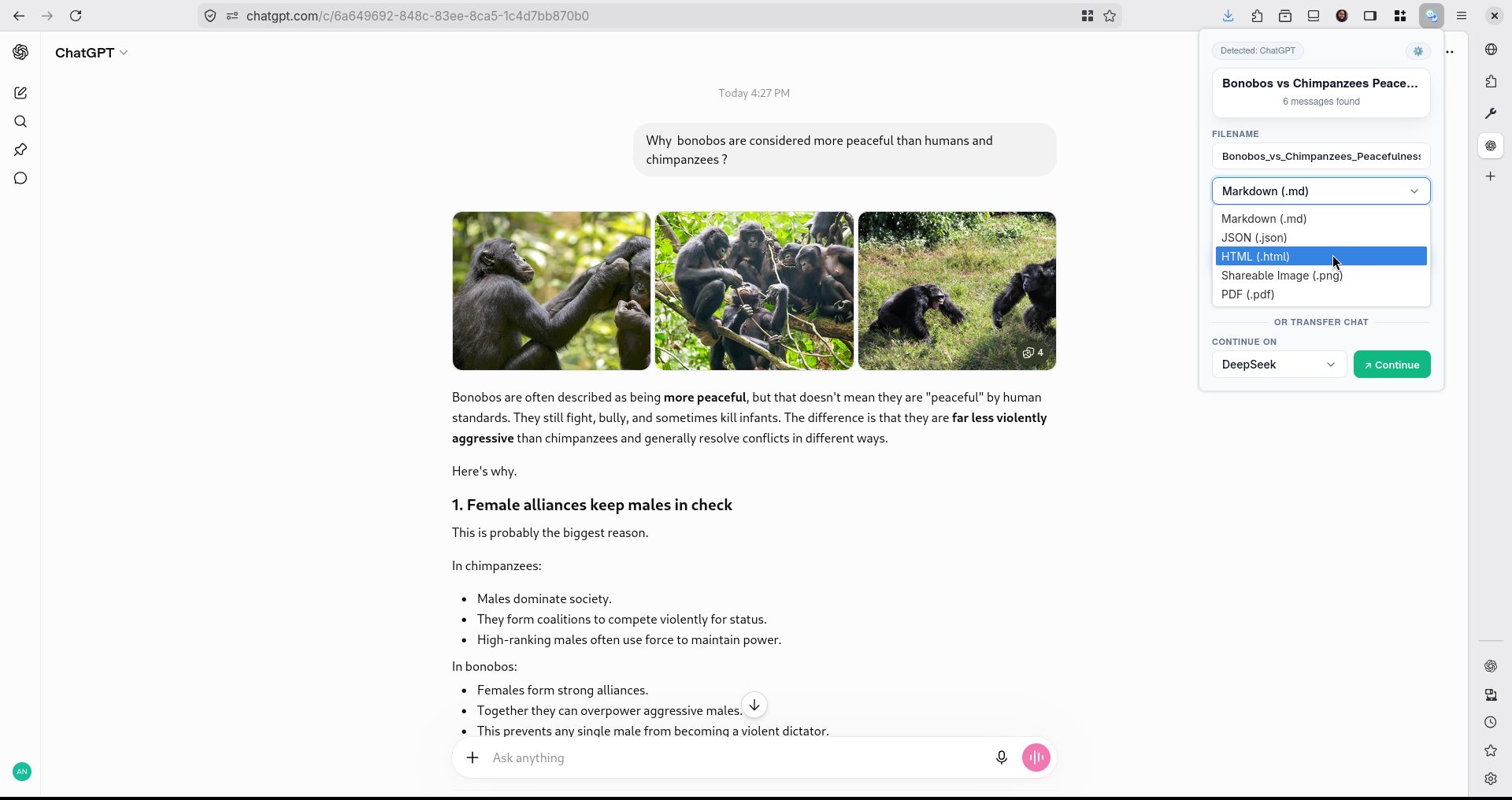 Format Selection UI